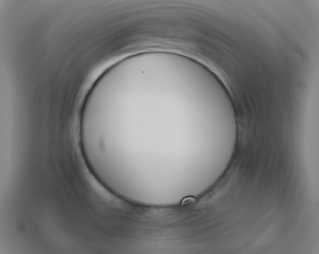 X0000113361531200910061029