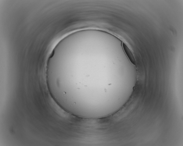 X0000113361532200910061029