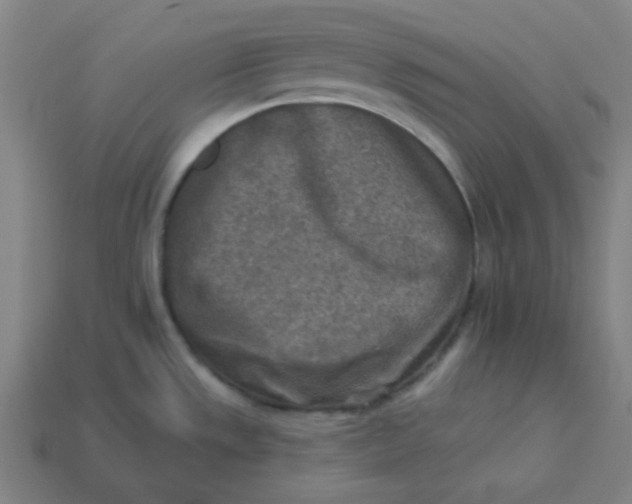 X0000113361533200910061029