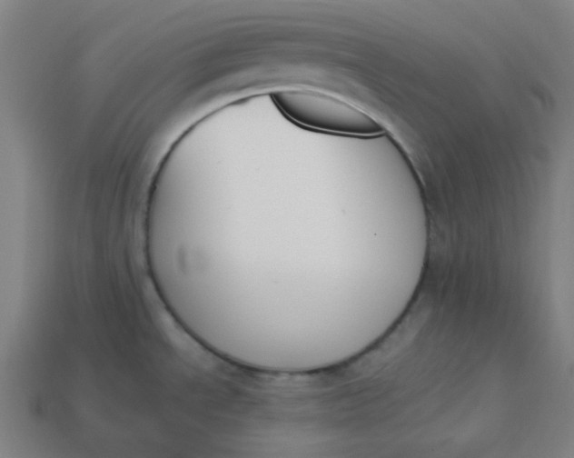 X0000113361534200910061029