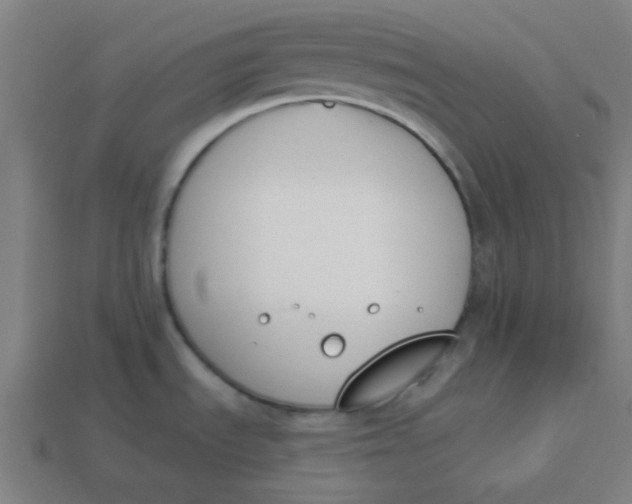 X0000113361535200910061029