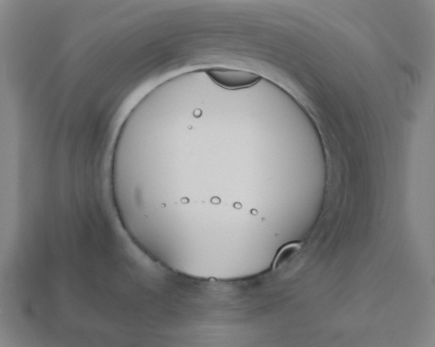 X0000113361536200910061029