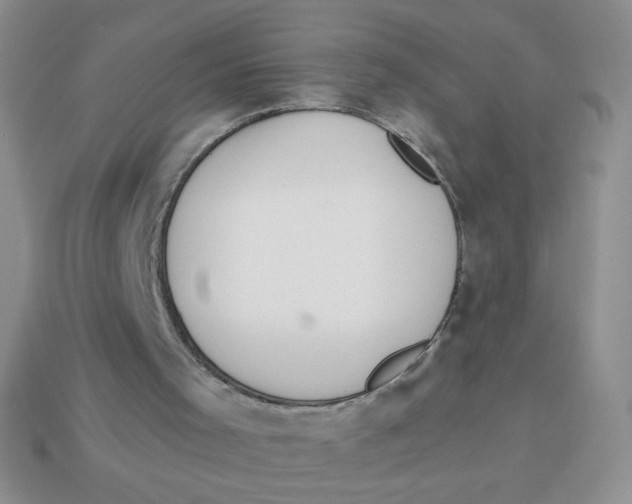 X0000113360001200910131310