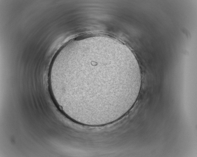 X0000113360002200910131310