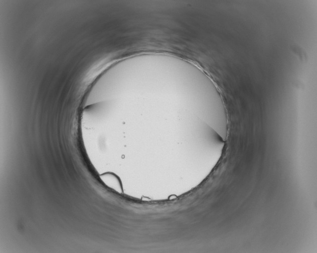 X0000113360005200910131310
