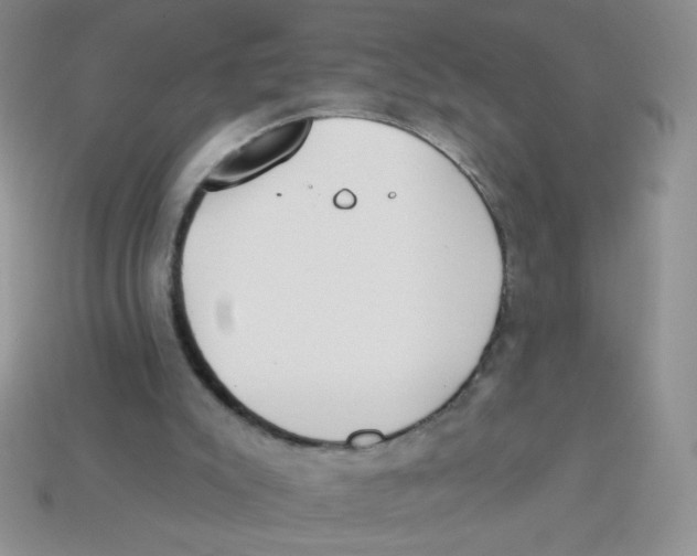 X0000113360007200910131310