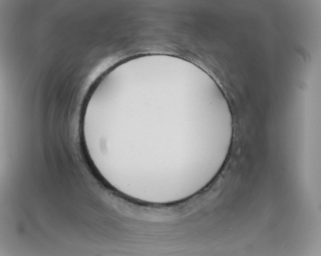 X0000113360008200910131310