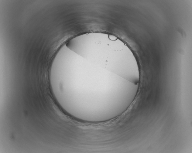 X0000113360009200910131310
