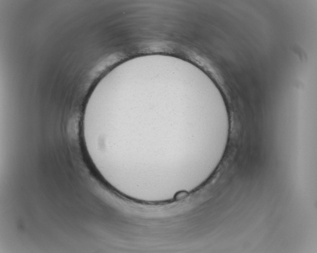 X0000113360010200910131310
