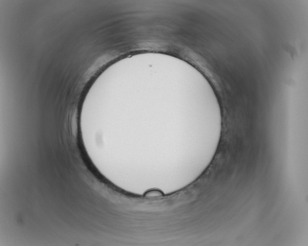 X0000113360011200910131310
