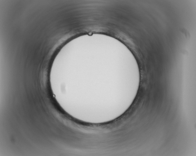 X0000113360012200910131310