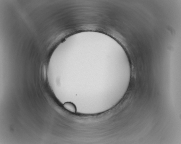 X0000113360013200910131310