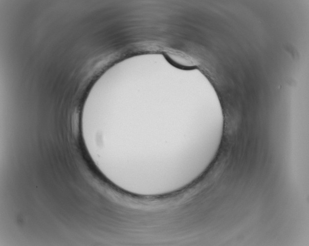 X0000113360014200910131310