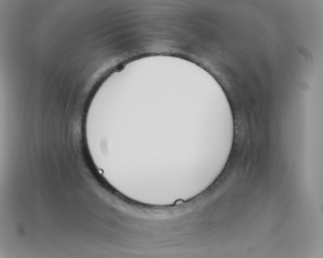 X0000113360015200910131310