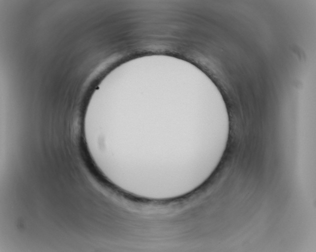 X0000113360016200910131309
