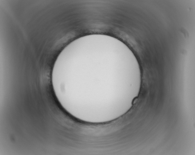 X0000113360017200910131309