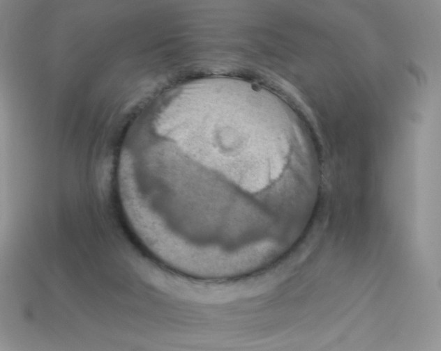 X0000113360018200910131309