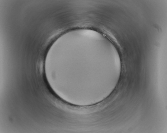 X0000113360019200910131309