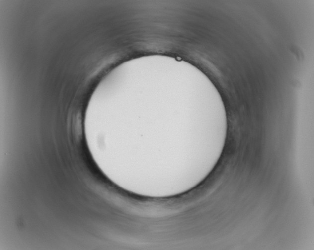 X0000113360020200910131309