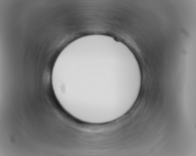 X0000113360021200910131309