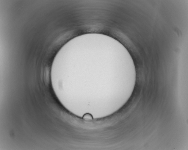 X0000113360022200910131309