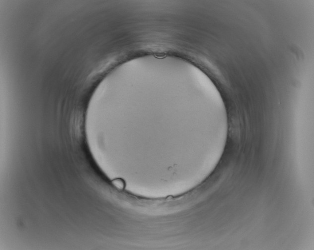 X0000113360023200910131309