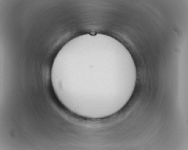 X0000113360024200910131309