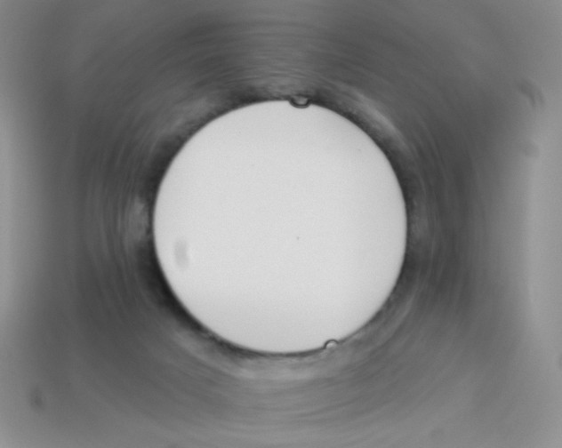X0000113360025200910131309