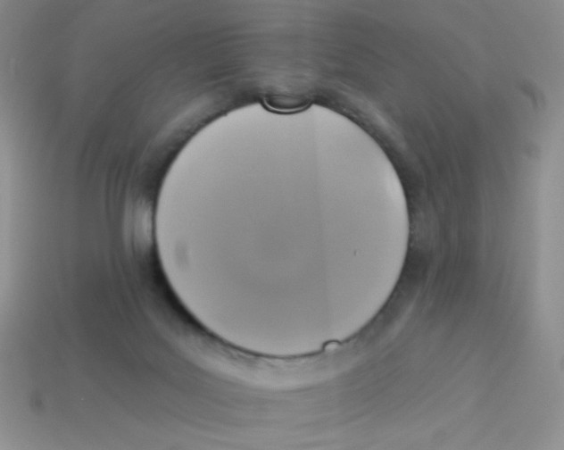 X0000113360027200910131309