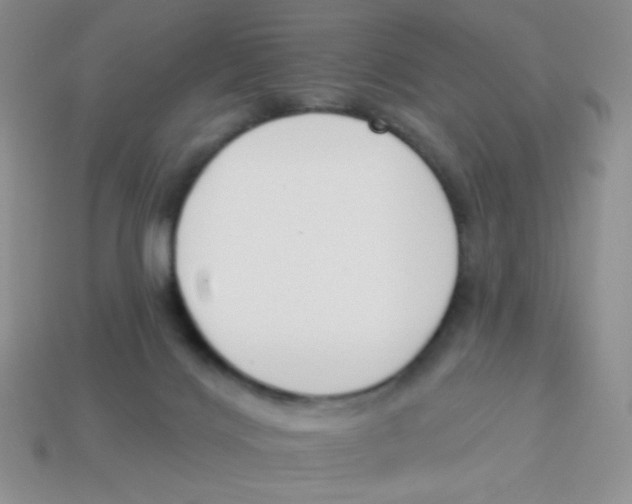 X0000113360028200910131309