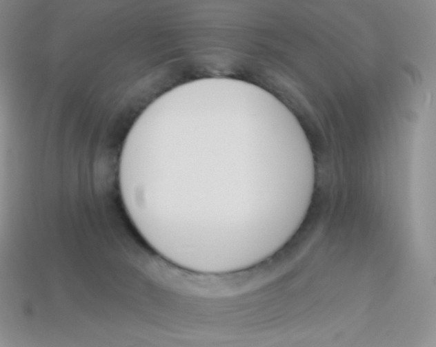 X0000113360030200910131309