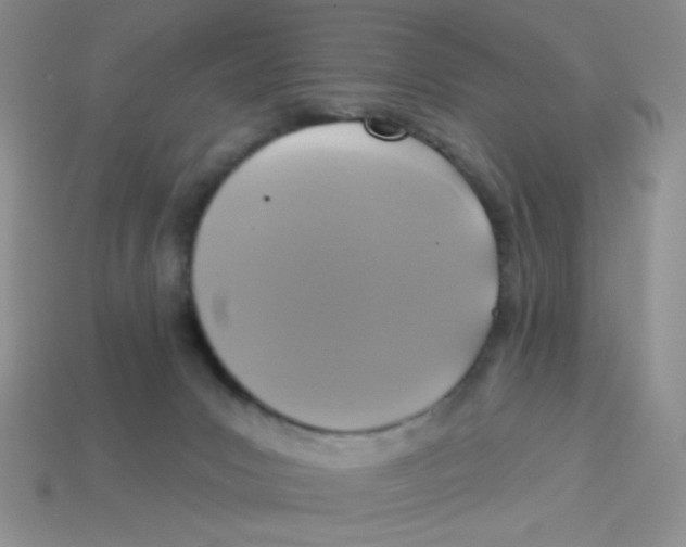 X0000113360031200910131309