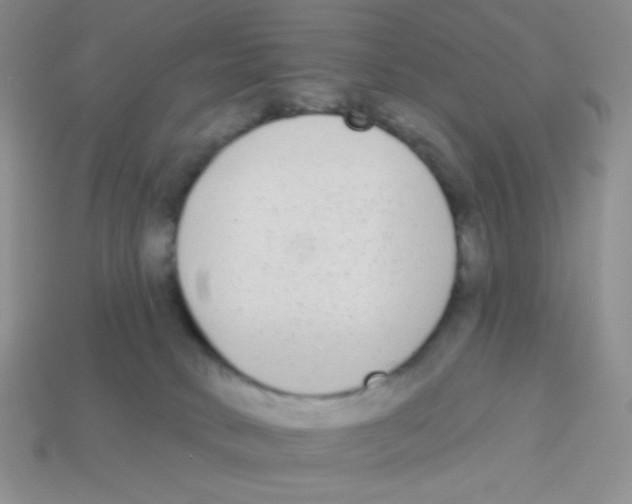 X0000113360034200910131309