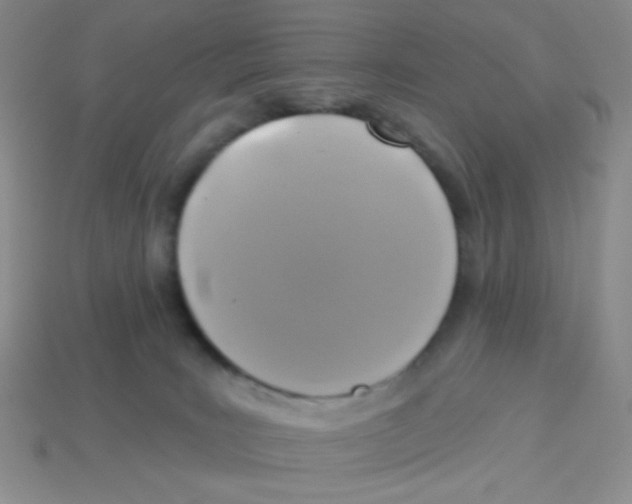 X0000113360035200910131309
