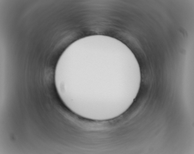 X0000113360036200910131309
