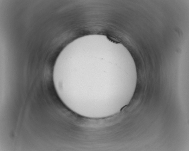 X0000113360037200910131309