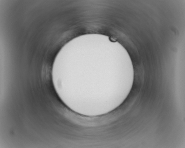 X0000113360038200910131309