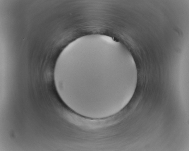 X0000113360039200910131309