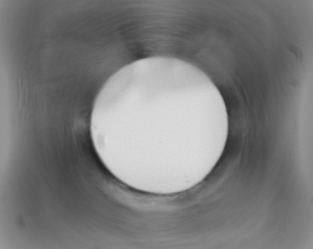 X0000113360040200910131309