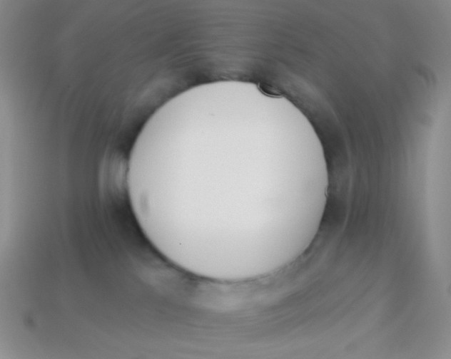 X0000113360041200910131309