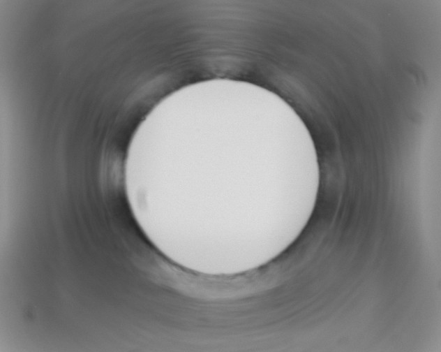 X0000113360042200910131309