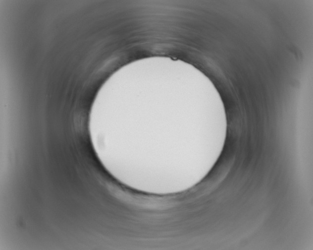 X0000113360044200910131309
