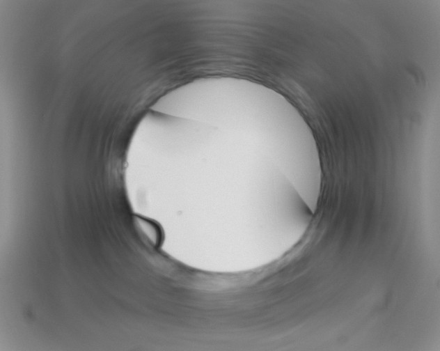 X0000113360045200910131309