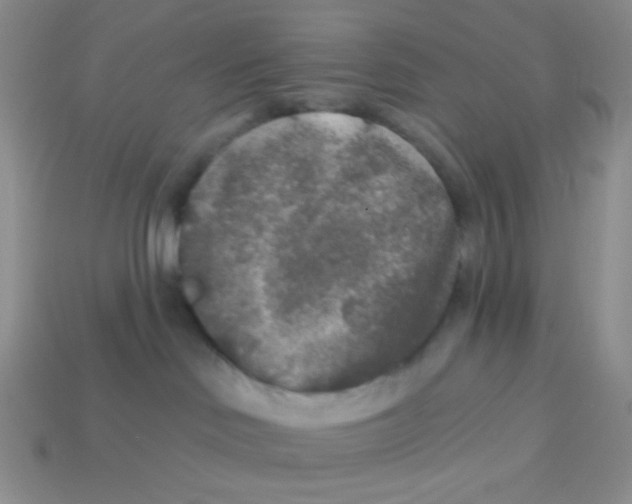 X0000113360046200910131309