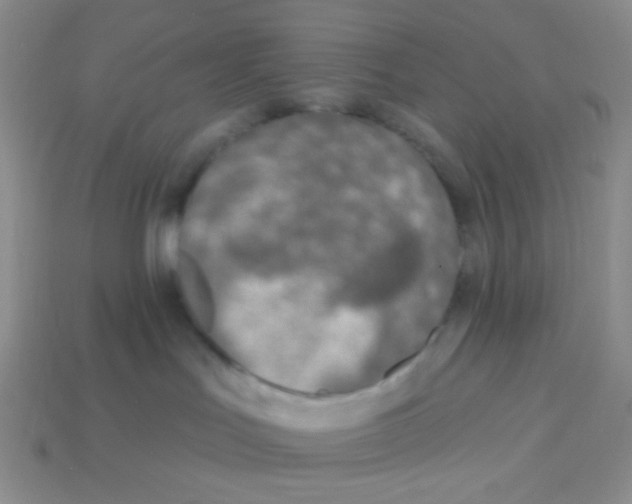X0000113360047200910131309