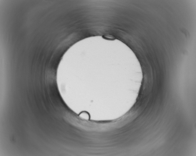 X0000113360048200910131309