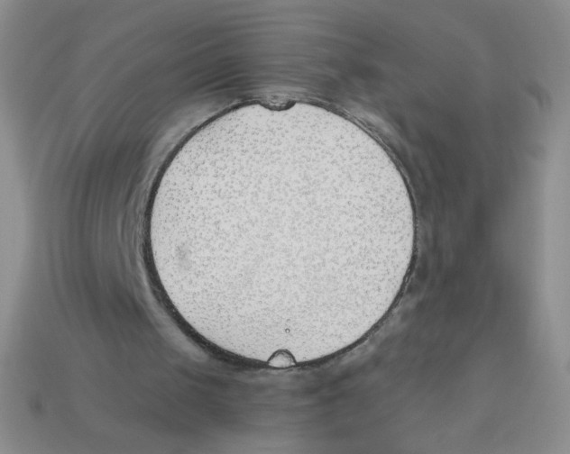 X0000113360049200910131308