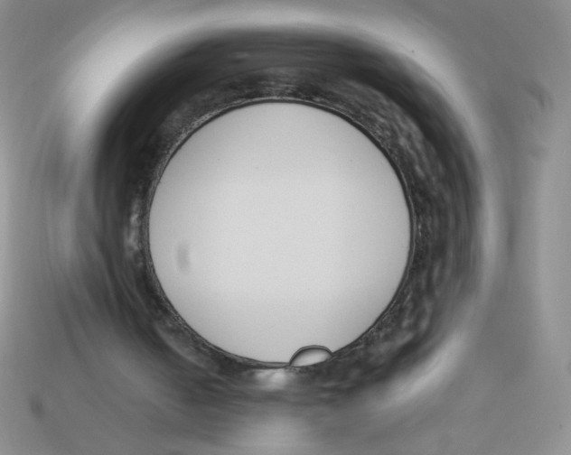 X0000113360050200910131308