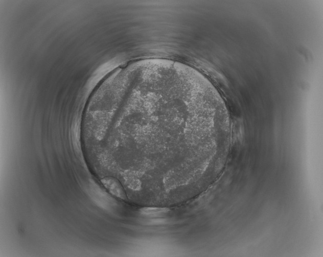 X0000113360051200910131308