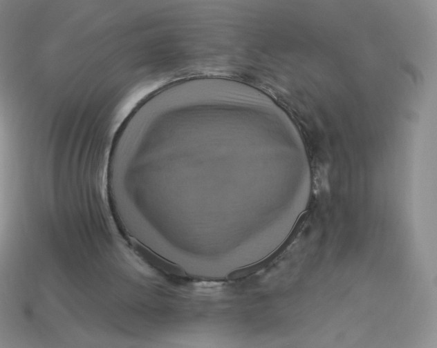 X0000113360052200910131308